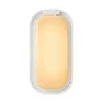 Foco Tortuga Ovalado Blanco 24W IP54 Calido FARETTO